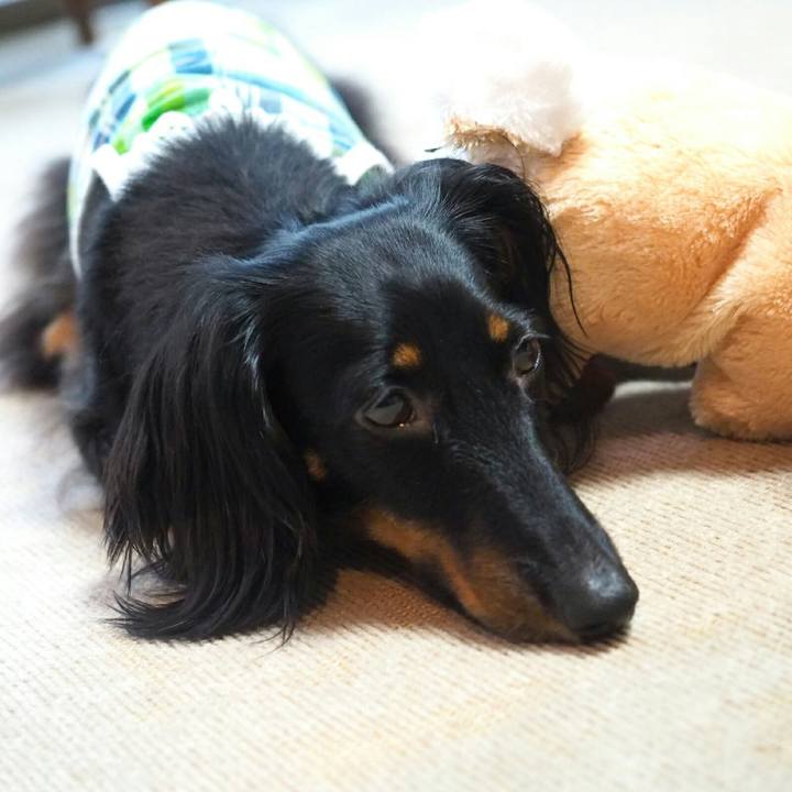 1cebb6f3 8ac7 4d2b 9b23 f9aaa41d07d1