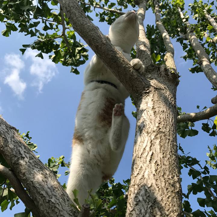 1cebc03a f1e7 48fd b3f5 fd4d892100ba