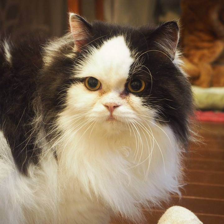 1cebf217 f61f 41d5 9815 409723448dfb