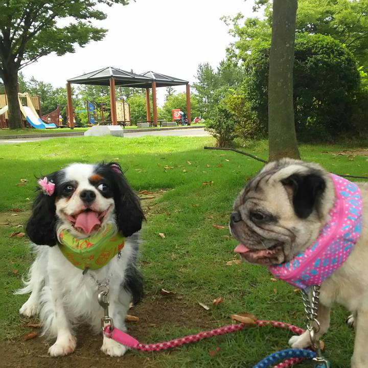 1cece4dd c58a 4a2b 8c6b 7807eb64297d