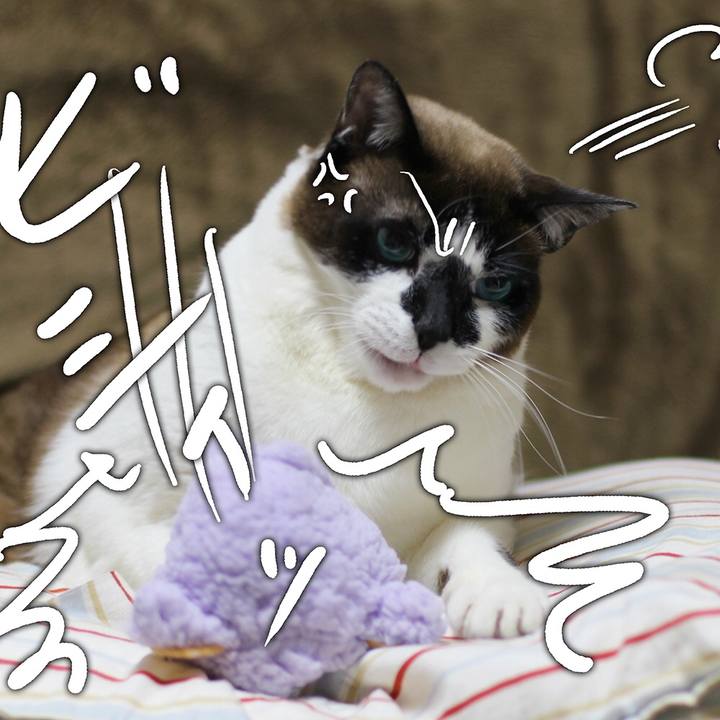 1ced07c3 e180 4b11 8e45 fe6adda0ef69