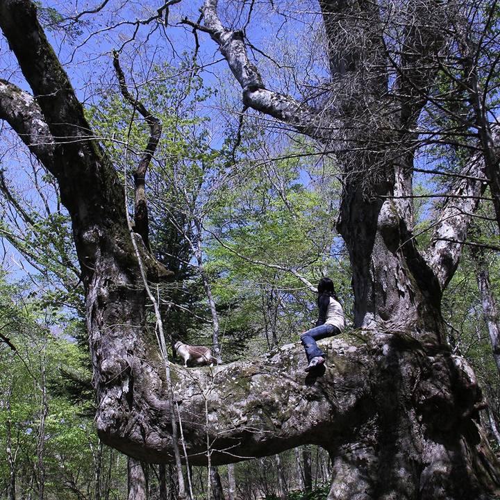 1ced26ee 352d 4549 8919 8f8777504996