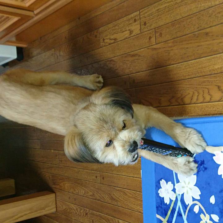 1ced898a 66a5 42b2 8596 07083fa307ff