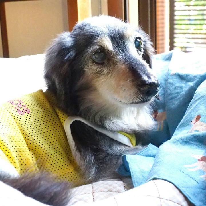 1cee0697 2ad5 468c 8aa1 56cb4d4cd667