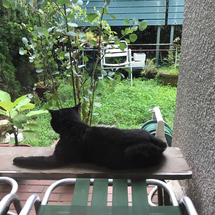 1ceed6dd 37c0 422a b843 f74ece8d2f8b