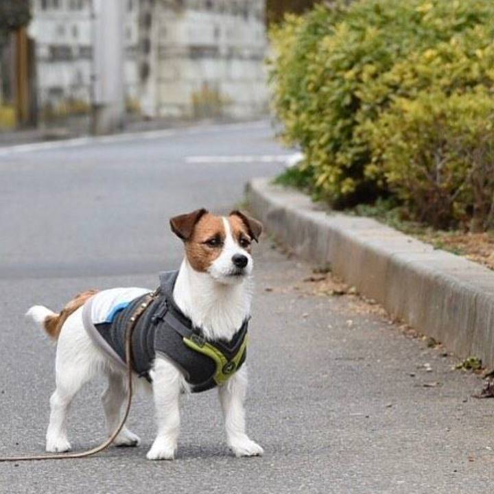 1cefbe9d 6609 4703 9376 23438c6aa1f4