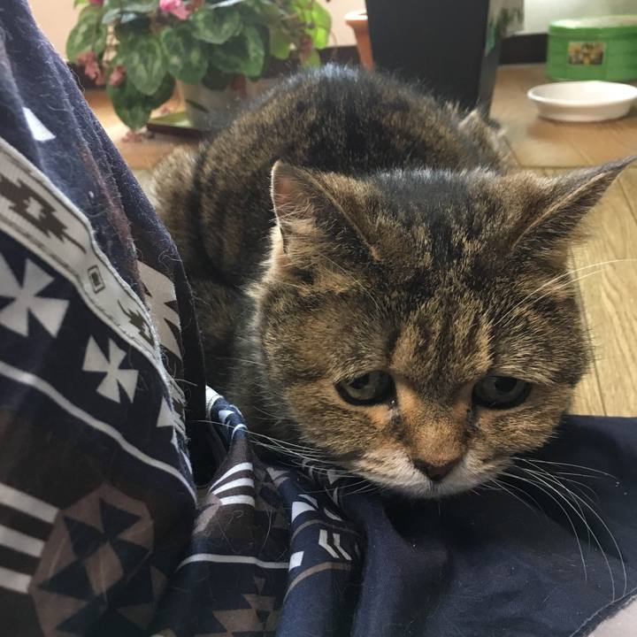 1cf1a76f 5ab5 4226 993d da230b285bdd