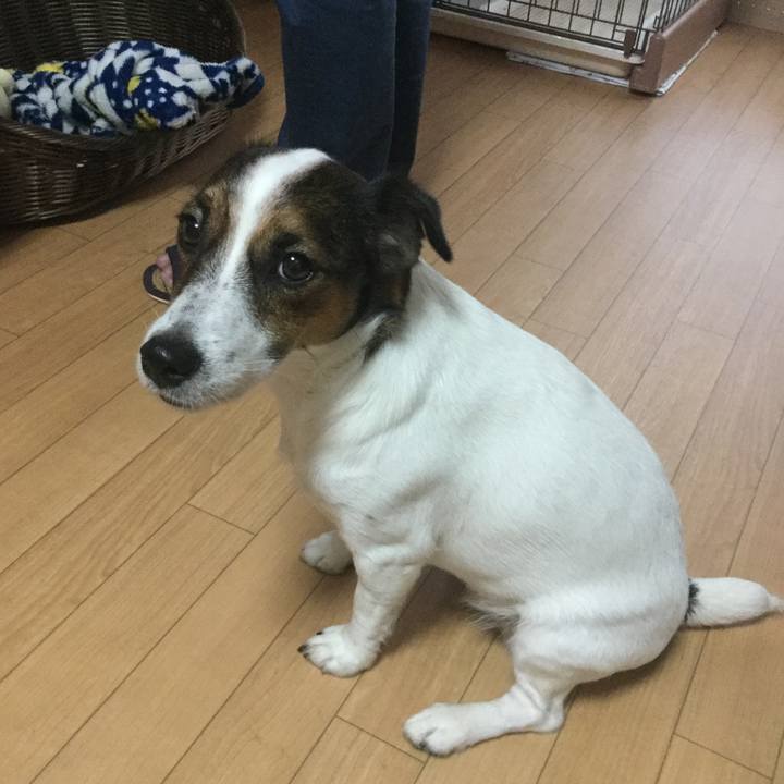 1cf1e57e 0134 4755 a63a fbf11af1bd94