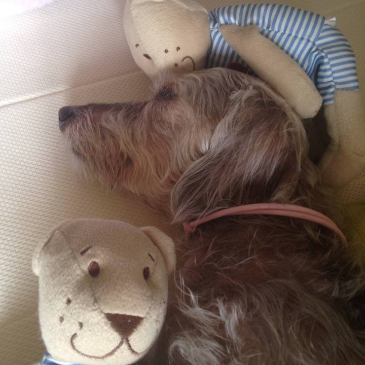 1cf2efaf 2058 48d5 a58d 6ef9d4dc8640