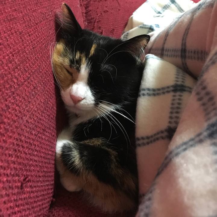 1cf30aaf fc55 485f beb6 c816654cbbd3