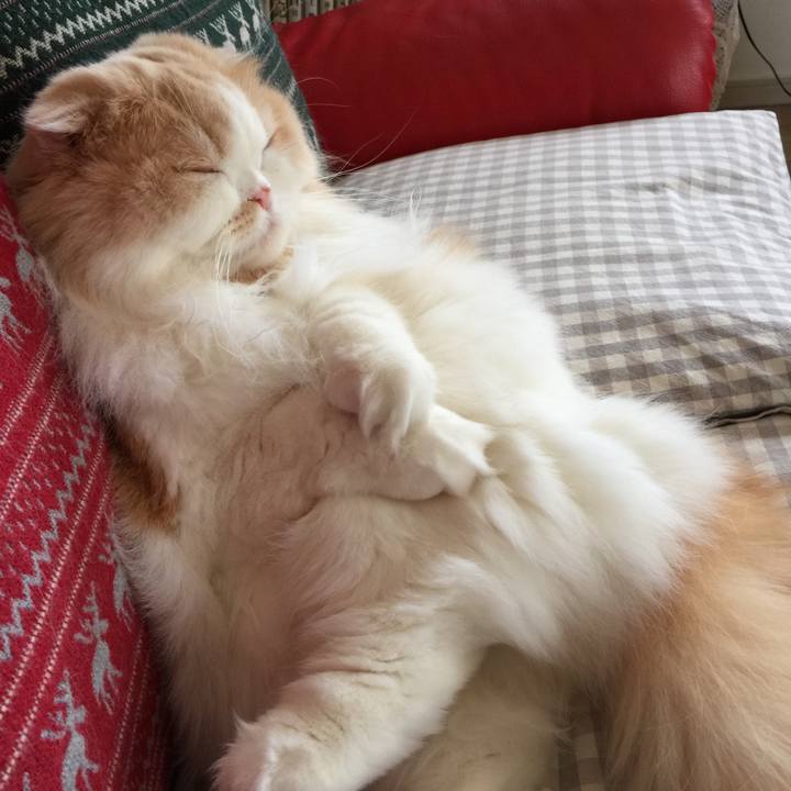 1cf3e9f3 d20f 466a a196 66725e27c2f0