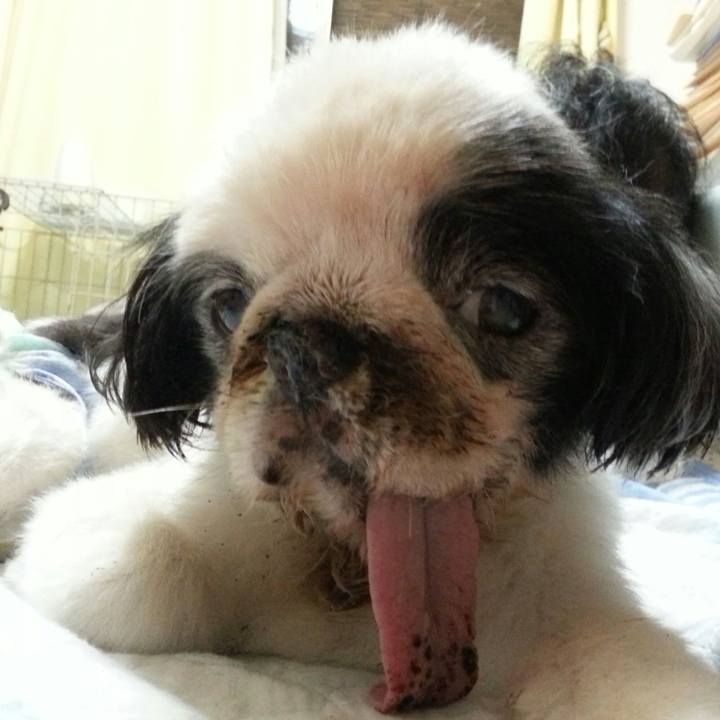 1cf45ec9 df05 4e58 8806 532e69e9521b