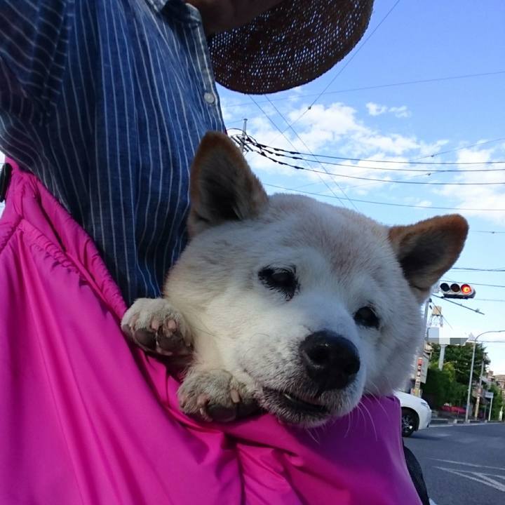 1cf4daa3 8731 4e26 9598 9054e8747eae