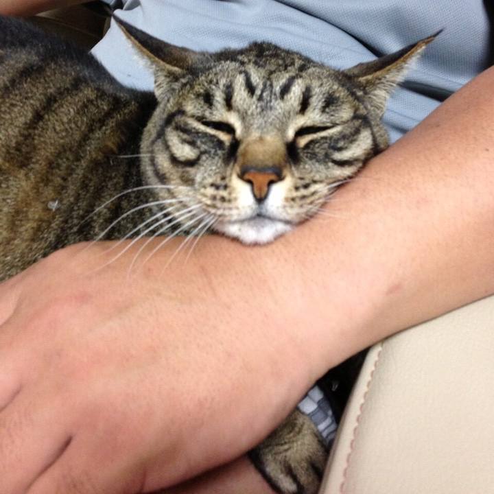 1cf551a0 0033 4ca8 b194 8bfebfa7c856