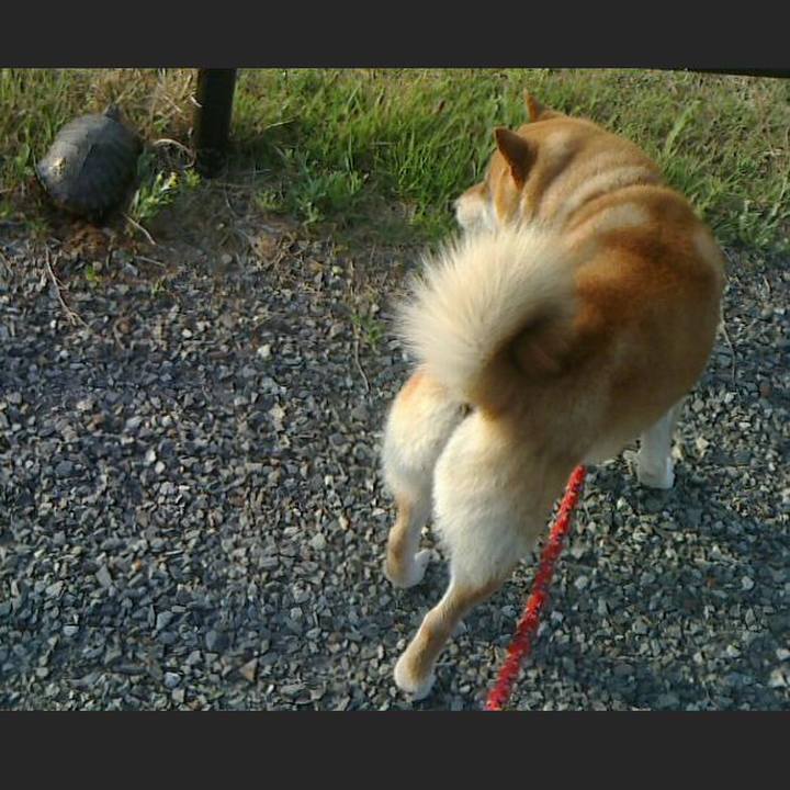 1cf5dfaf b067 45db 9b76 d053d4e499cb