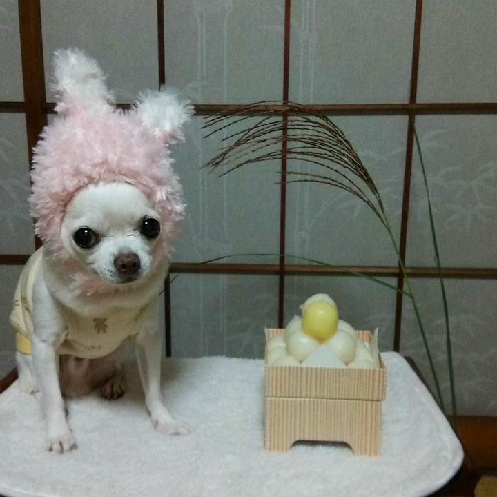 1cf6ca77 527c 48a9 8ef0 e4dee85160e9