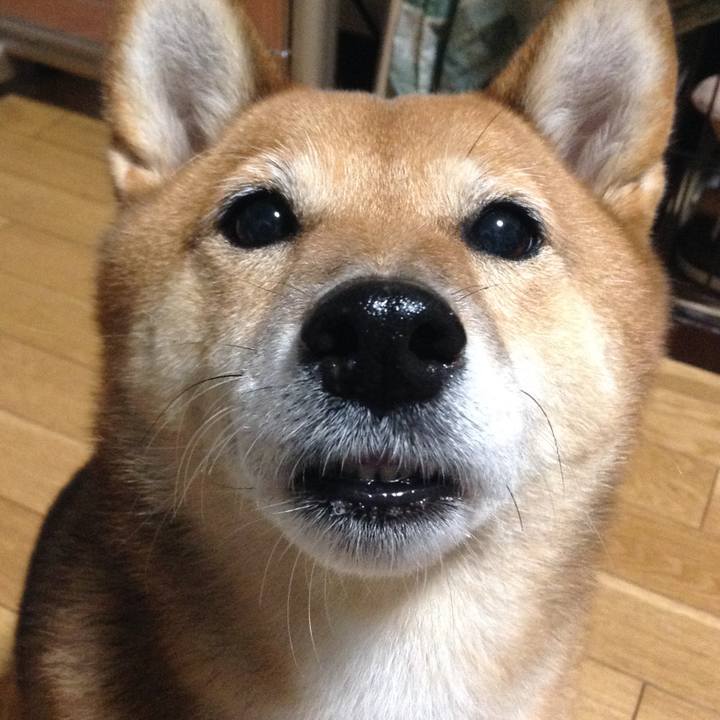 1cf7967e 4896 422d b4a6 99b15ecdd441