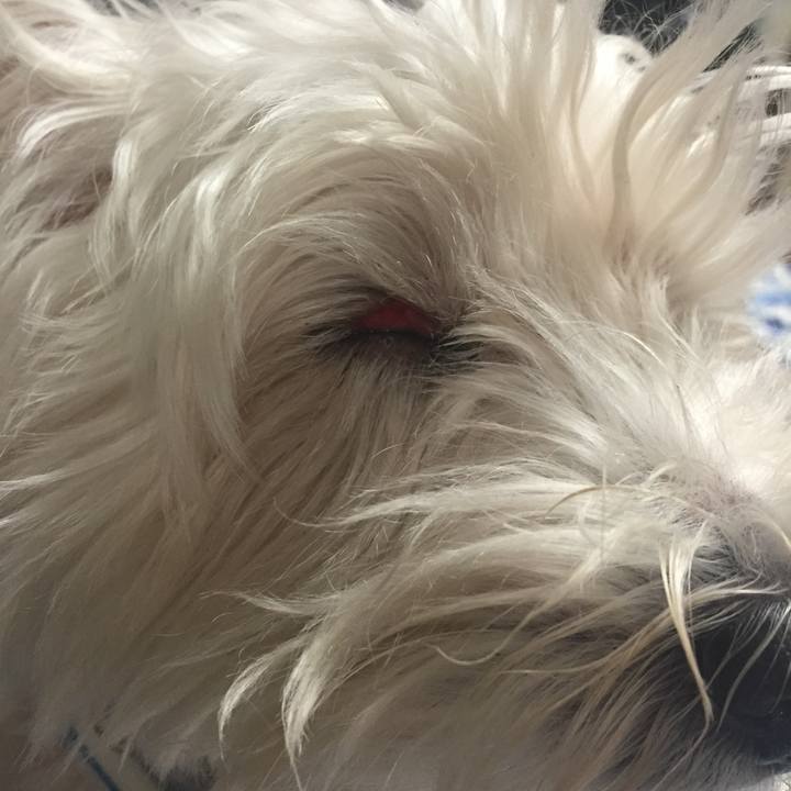 1cf85639 3b4d 4c9d b546 d15f54485ec2