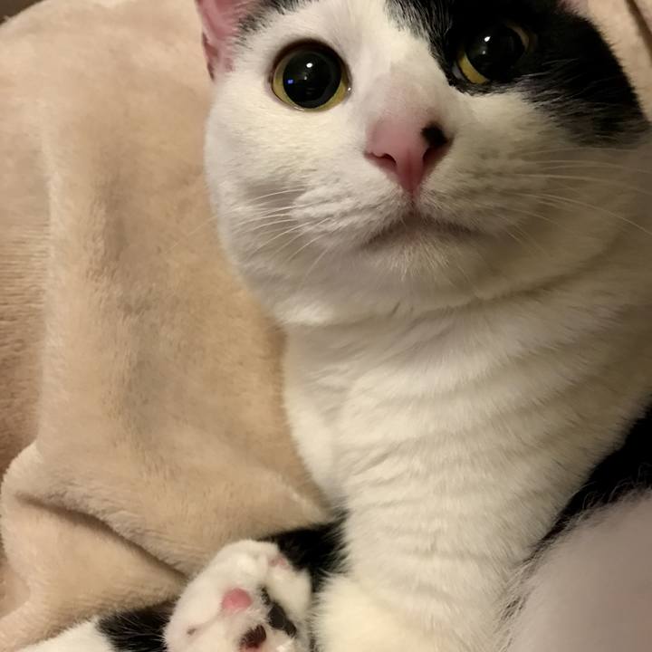 1cf8c3dd 1f7b 4b3c a41b dc0451efaa27