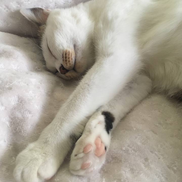 1cf8e686 be55 4207 b162 502e96cd8767