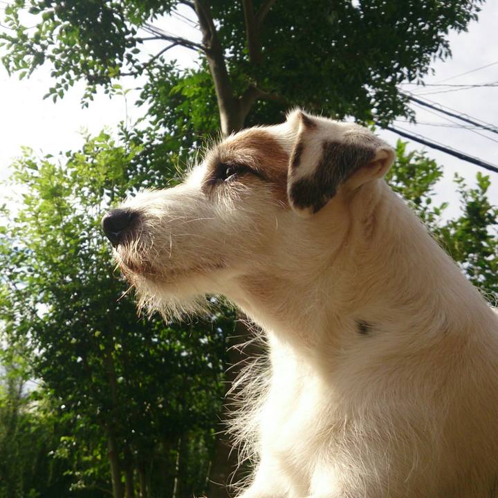 1cf94b5f e8bc 476a a576 3edd832864ef