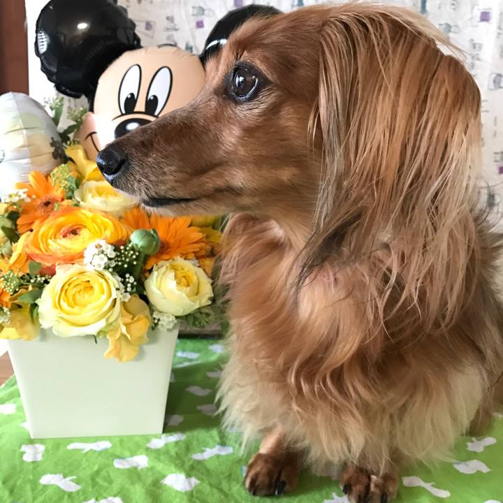 1cfa0e1e 4a1b 4abc 827a fd71149d344f