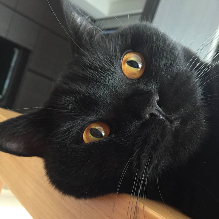 1cfa3d17 3078 4684 b29a e7811982119d