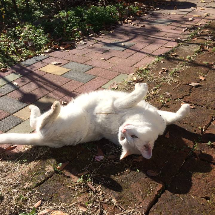 1cfa99f0 614a 41d2 98d4 7469c8108f03