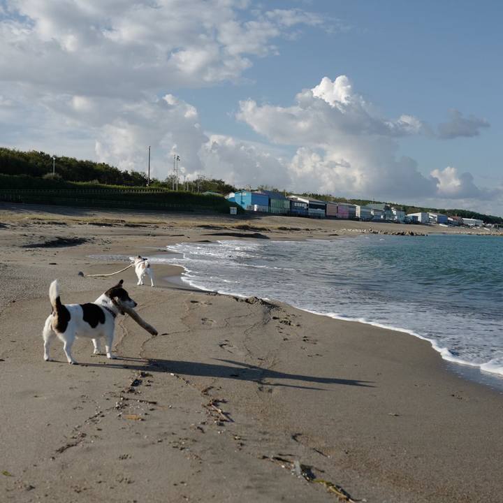 1cfaa20a 1228 4ffb ba47 bb67c0938356