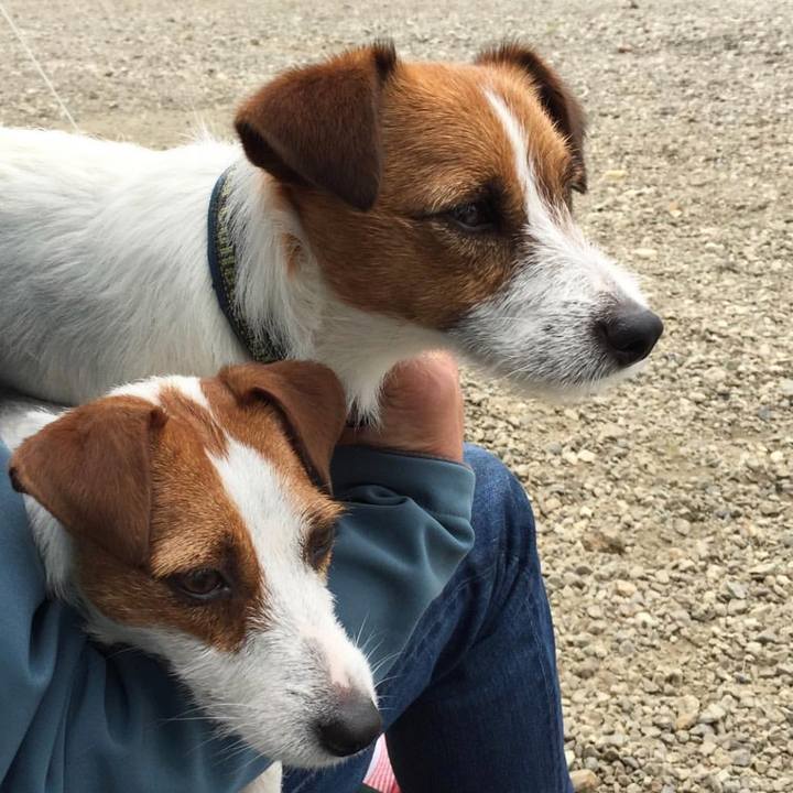 1cfac88f c5fd 4722 bd04 06d54ac2a1fe