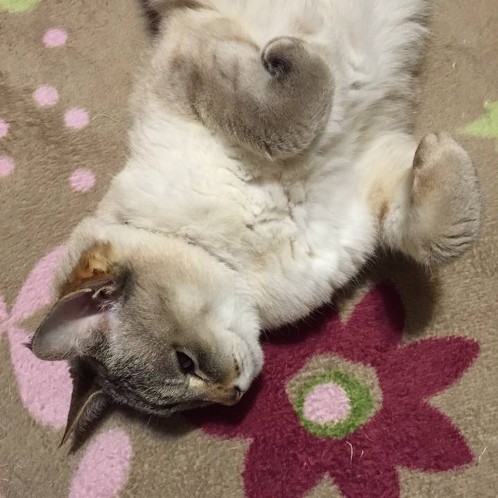 1cfbfb75 a0a1 4474 a9dc ff48ccaa4497