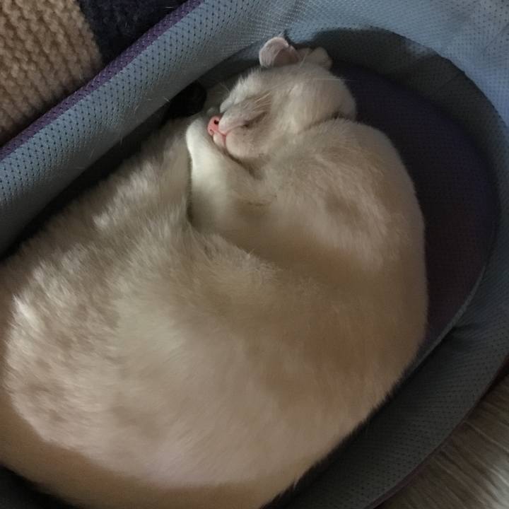 1cfc4f18 03ae 420c b004 802d0e51f842