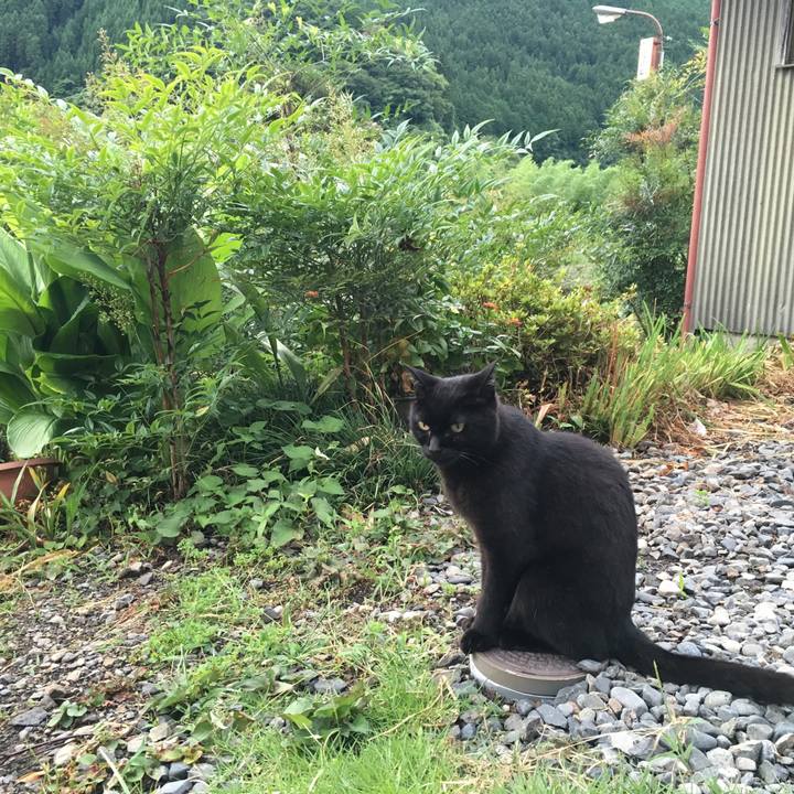 1cfd2318 17e6 4621 9b8b 065f3bed868e