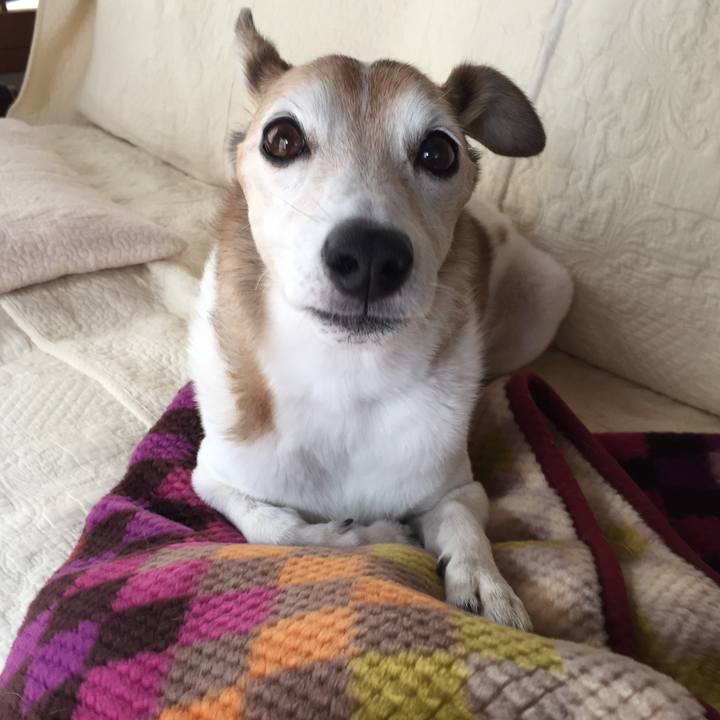 1cff591c 9a2c 4952 907d ccbc05bf464d