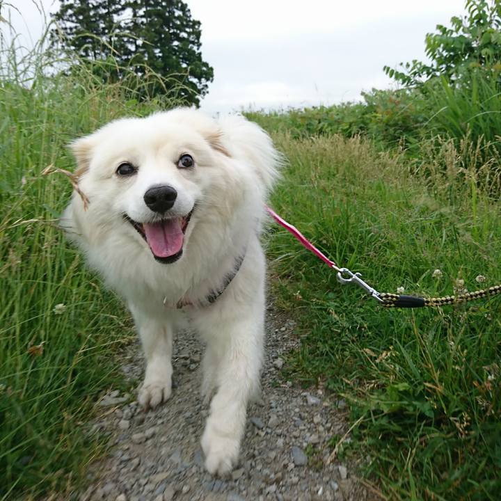 1cff6414 bd85 4fe4 bb91 e9b082125914