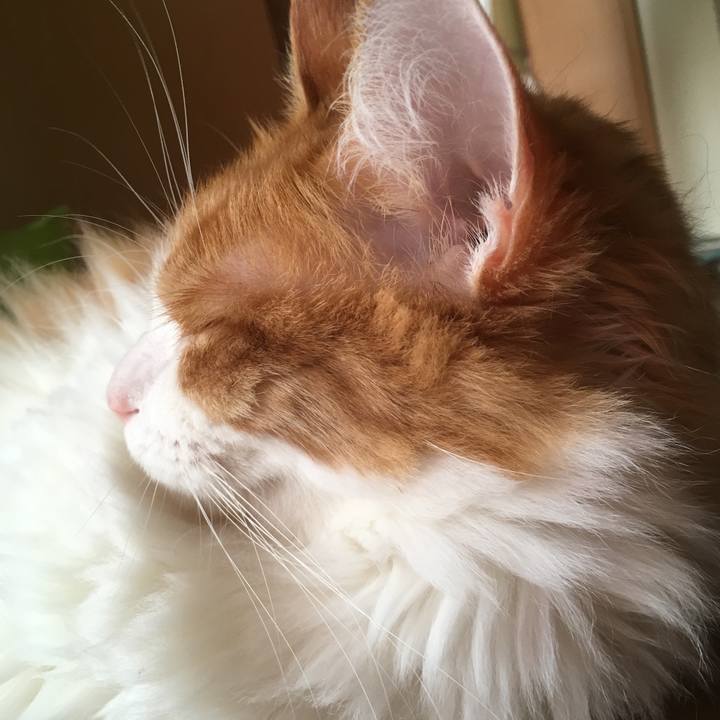 1cff7a5b fa2a 4abc be76 496cd6c2c910