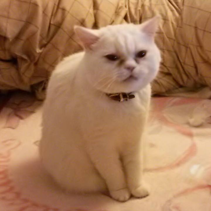 1cfffd2b 2c76 4fb5 9d14 fcecedef2ce0