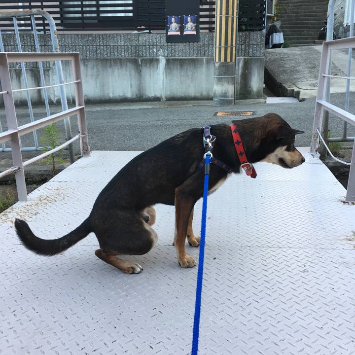 1d001c69 8541 453b b212 8ccdc3ed5651