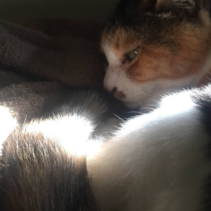 1d011880 7578 4e7e bd53 ffdaaa338e2c