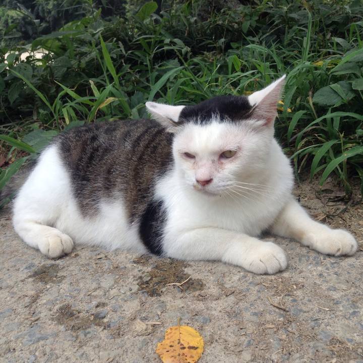 1d013eb8 4e60 4613 8f07 56a07a0e92f1