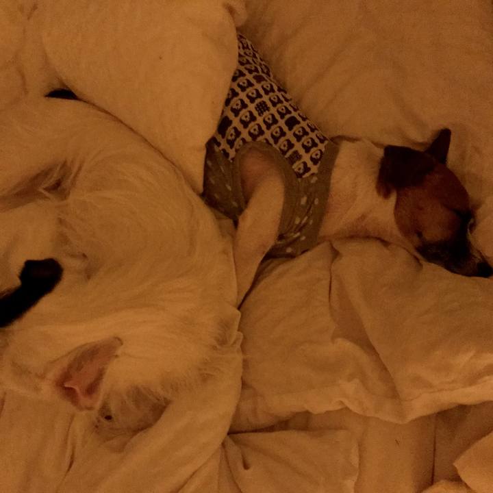 1d01bedc ff63 4900 8442 79c4e7bbbda0