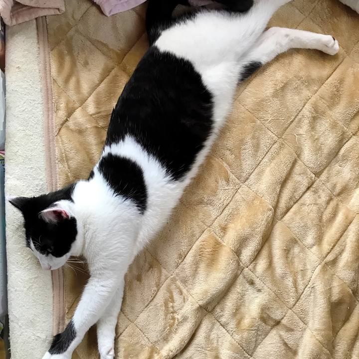 1d028105 23e2 48c7 bab9 7b443e1319c6