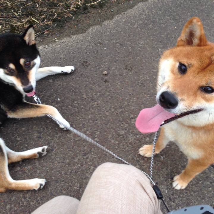 1d029ee7 aa5f 4345 9216 600f79081827