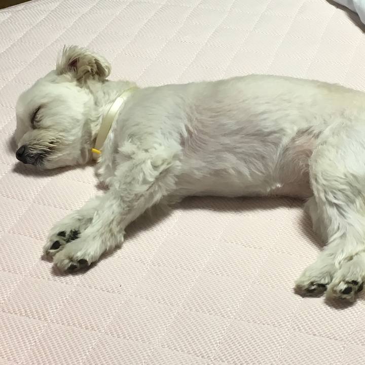 1d02df8b 5f1c 4202 bbc8 2f0136b6d43f