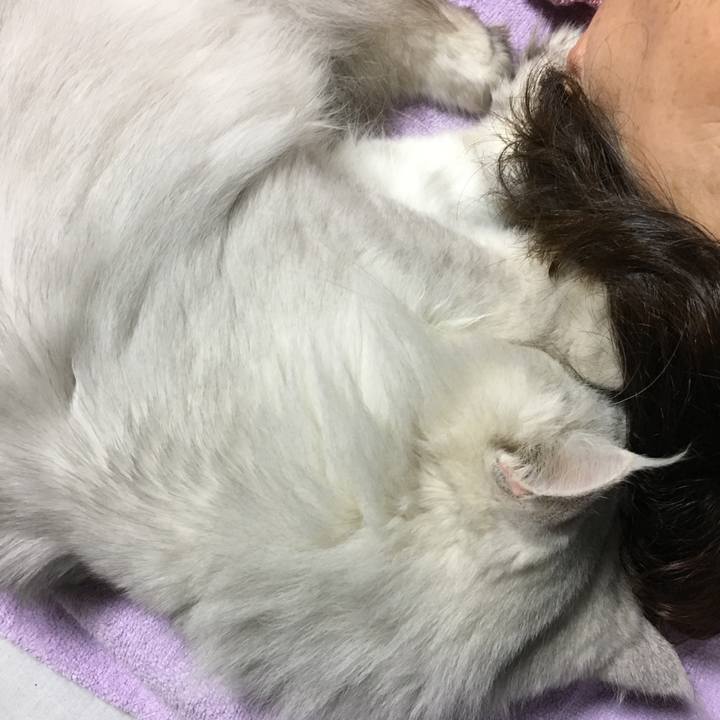 1d035614 71e0 4064 a946 a10e41cfa840