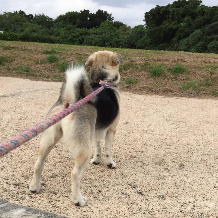 1d035eb7 1420 4c09 81de 44654d0cdd28