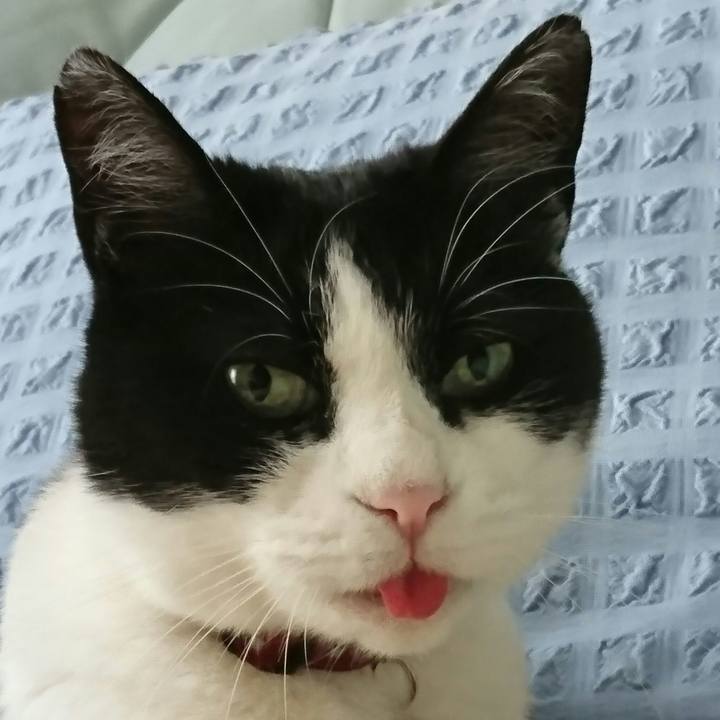 1d03c2a8 bb28 4c65 8363 eed8f9224eef