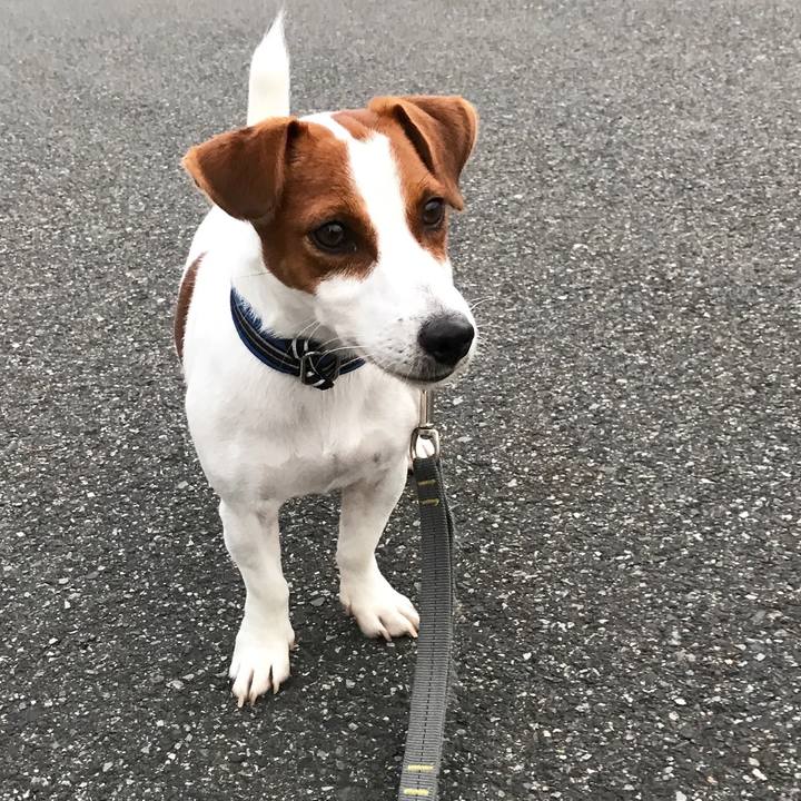 1d0424be 60b9 495d 8621 8e0626303844