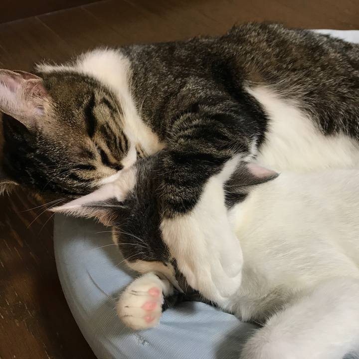 1d0488a4 013d 4d77 8136 7d5df8dde7bc