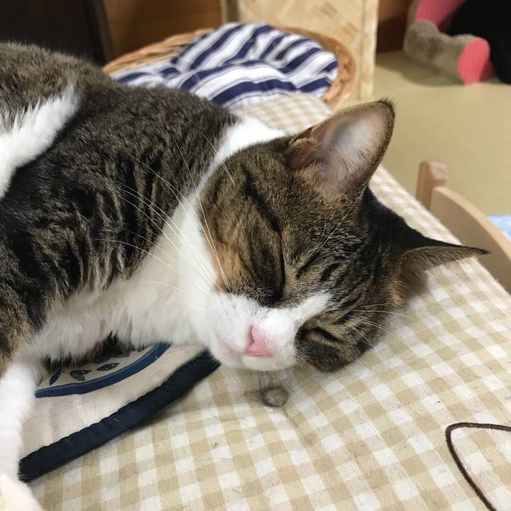 1d05d850 6a57 48e0 bba7 8cd202fe6b93